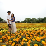 Nokonoshima Island Park