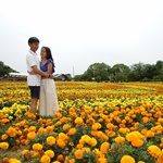 Nokonoshima Island Park