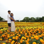 Nokonoshima Island Park