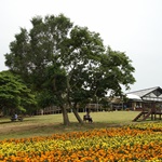 Nokonoshima Island Park