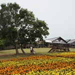 Nokonoshima Island Park