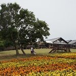 Nokonoshima Island Park