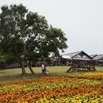 Nokonoshima Island Park