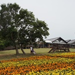 Nokonoshima Island Park
