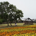 Nokonoshima Island Park