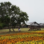 Nokonoshima Island Park