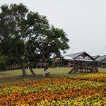 Nokonoshima Island Park