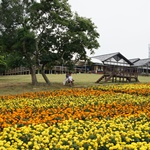 Nokonoshima Island Park