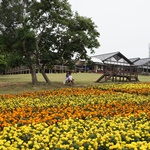 Nokonoshima Island Park
