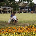 Nokonoshima Island Park