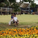 Nokonoshima Island Park
