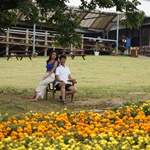 Nokonoshima Island Park