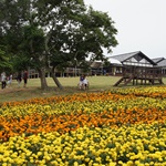 Nokonoshima Island Park
