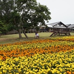 Nokonoshima Island Park