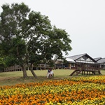 Nokonoshima Island Park