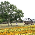Nokonoshima Island Park