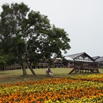 Nokonoshima Island Park