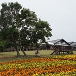 Nokonoshima Island Park