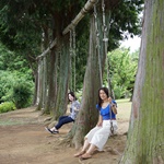 Nokonoshima Island Park