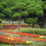 Nokonoshima Island Park