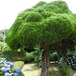 Nokonoshima Island Park