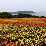 Nokonoshima Island Park