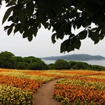 Nokonoshima Island Park