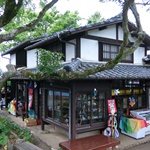 Nokonoshima Island Park