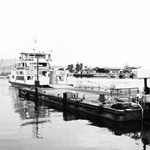 Nokonoshima Island Park