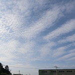 Nokonoshima Island Park