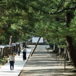 Izumo Taisha