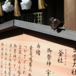 Izumo Taisha