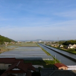 Oyado moonlit night of the rabbit