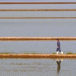 Oyado moonlit night of the rabbit