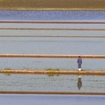 Oyado moonlit night of the rabbit