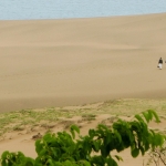 sand dunes