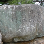 The Path of Literature