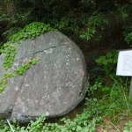 The Path of Literature