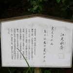 The Path of Literature