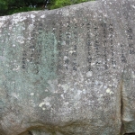 The Path of Literature