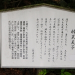 The Path of Literature