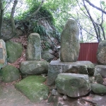 The Path of Literature