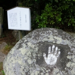 The Path of Literature