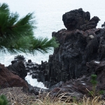 Daepo Jusangjeolli Cliff