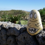 Hamel Ship Exhibition Center