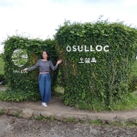 Osulloc Tea Museum