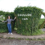 Osulloc Tea Museum