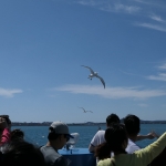 wp_20190924_South-Korea_LX10_033