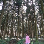 Jeolmul Natural Forest Resort