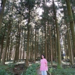 Jeolmul Natural Forest Resort